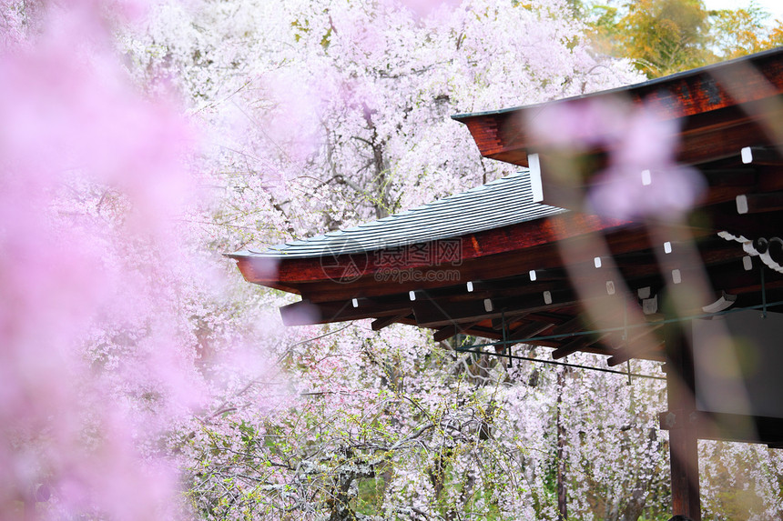 日本寺庙 满眼哭泣的圣堂传统建筑学公园反射屋檐石头场景房子池塘岩石图片