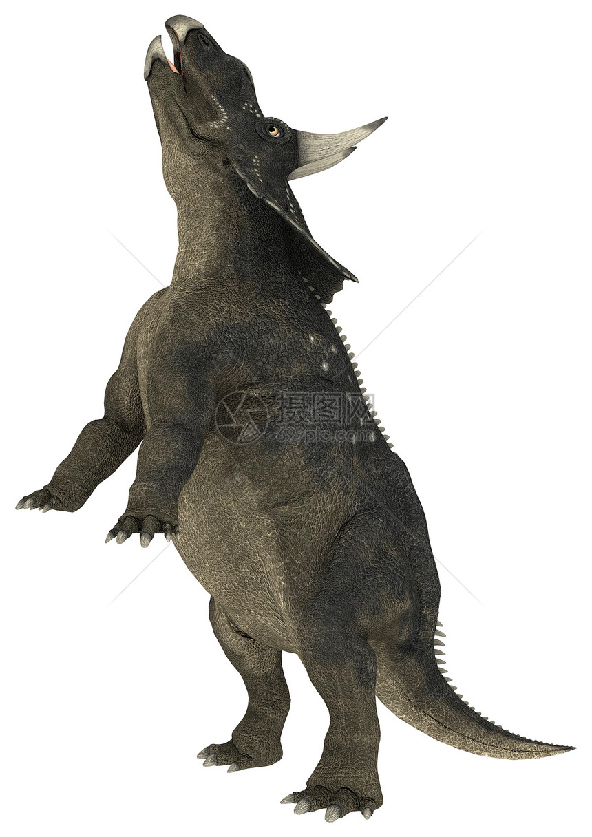 恐龙糖尿病生物动物捕食者博物馆时代绿色侏罗纪野生动物古生物学白色图片