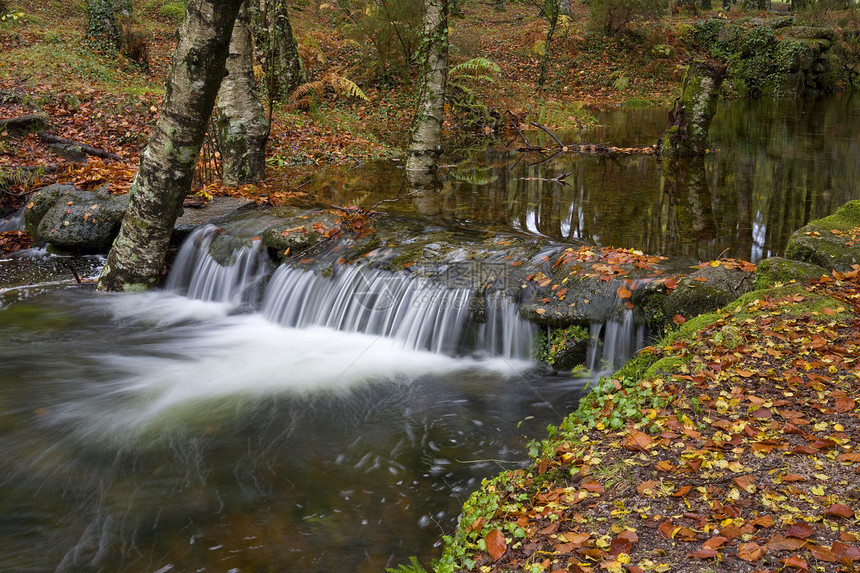 水瀑下雨石头岩石树木热血环境起源溪流跑步荒野图片