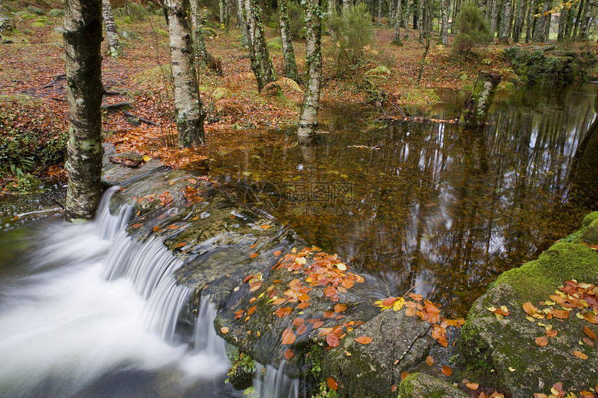 水瀑岩石环境植被溪流叶子热血荒野生活流动跑步图片