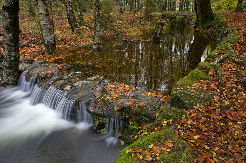 河流瀑水丝绸跑步热血叶子生活植被运动岩石树木环境图片