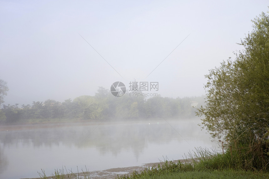 江雾天空树木蓝色衬套森林旅行反射阴霾公园农村图片