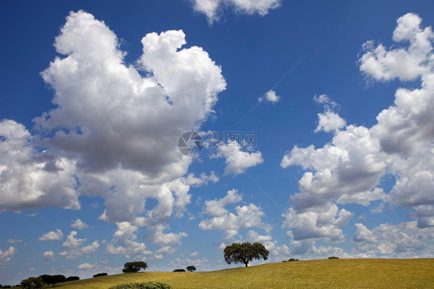 阿伦特霍国家土壤牧场晴天地球风景蓝色场地土地农场图片