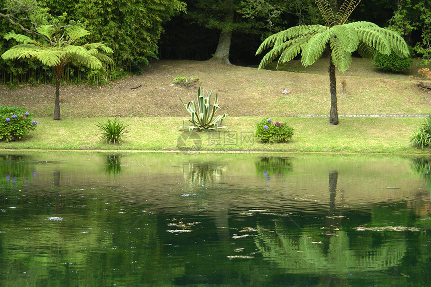 镜镜子绿色支撑气氛梦幻树木国家天气反射花园花朵图片
