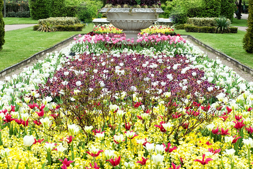 公园的鲜花巷红色花朵季节活力花园粉色植物绿色紫色白色图片