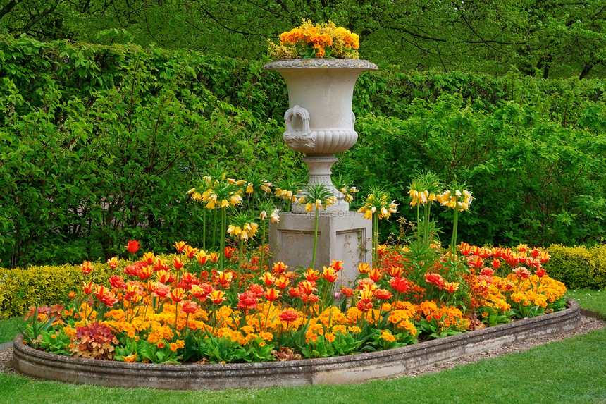 植物园里的花朵草地植物场景生长季节美化橙子叶子花园公园图片