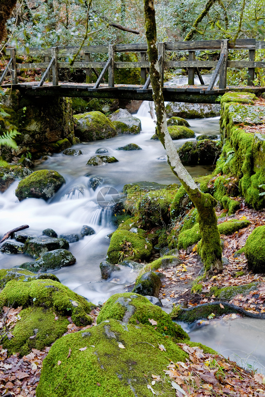 河流下雨岩石环境溪流森林跑步生活起源流动丝绸图片
