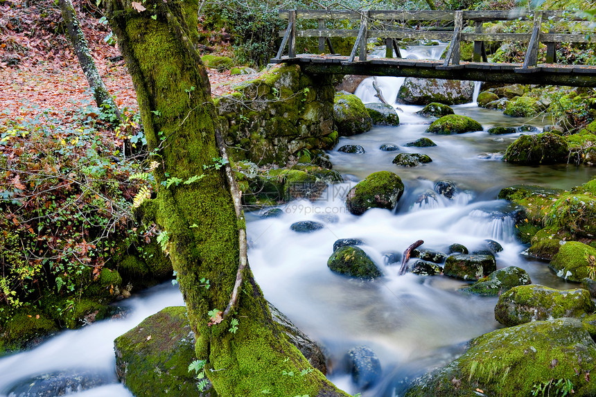 水瀑起源环境石头叶子运动溪流下雨流动丝绸荒野图片