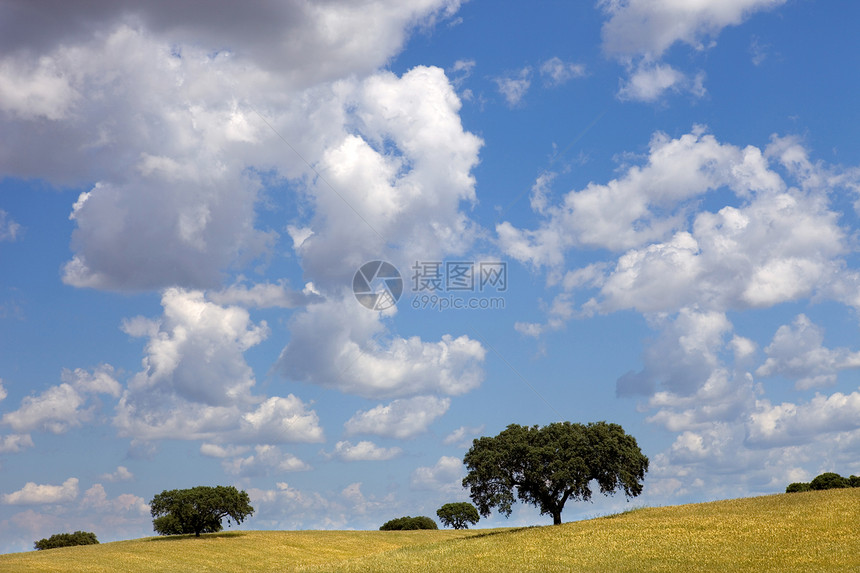 阿伦特霍旅行地球场地环境农场晴天天空蓝色土地橡木图片