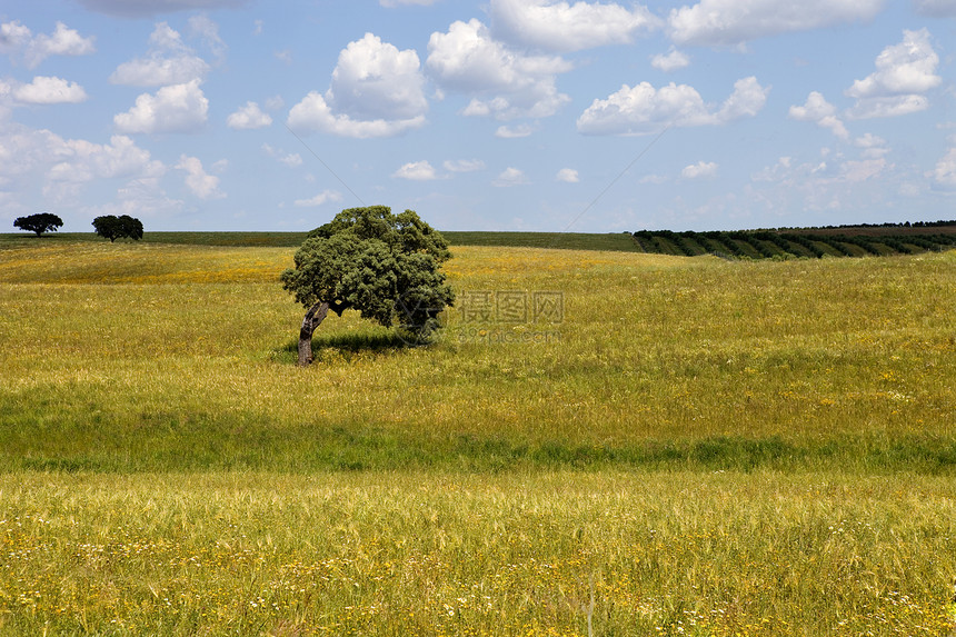 阿伦特霍国家农田风景土地场景收成环境土壤地球蓝色图片