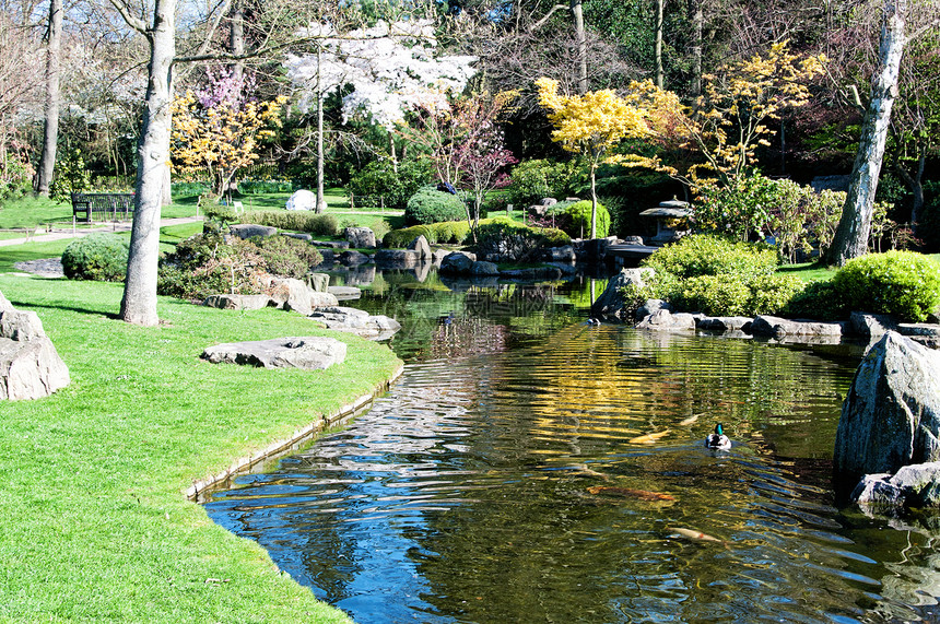 公园中美丽的池塘城市长椅树叶花园蓝色植物反射反思环境绿色图片