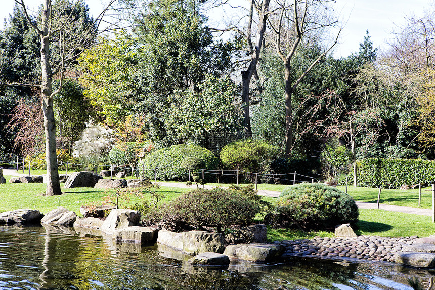 公园中美丽的池塘城市蓝色环境树叶花园反射绿色植物反思图片