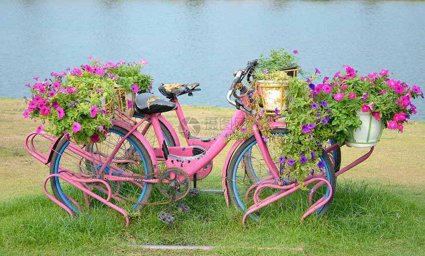 单人自行车花的古董花束花朵篮子街道花园白色旅行黑色图片