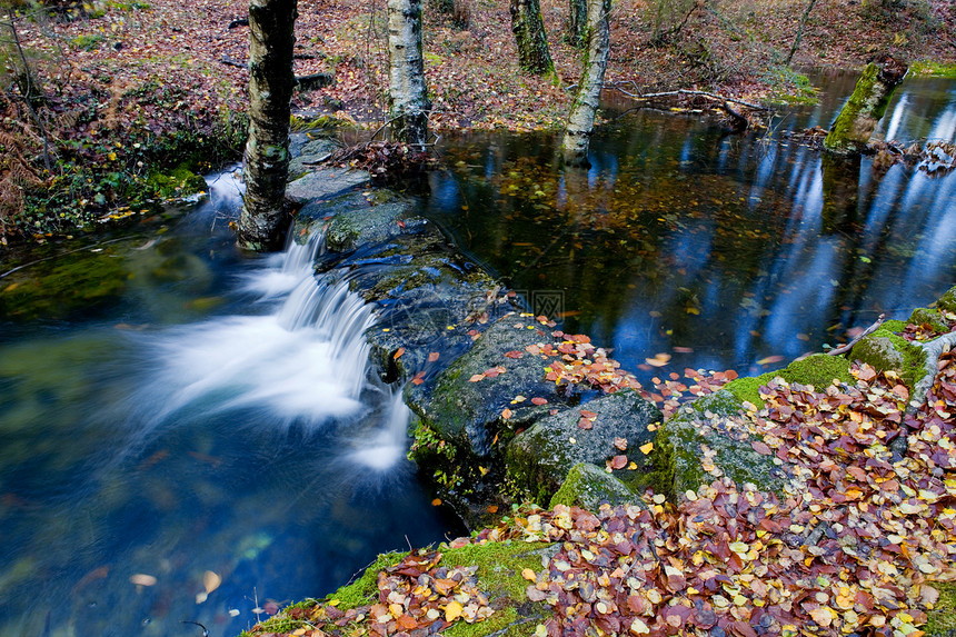 河流下雨植物跑步石头流动丝绸起源森林溪流植被图片