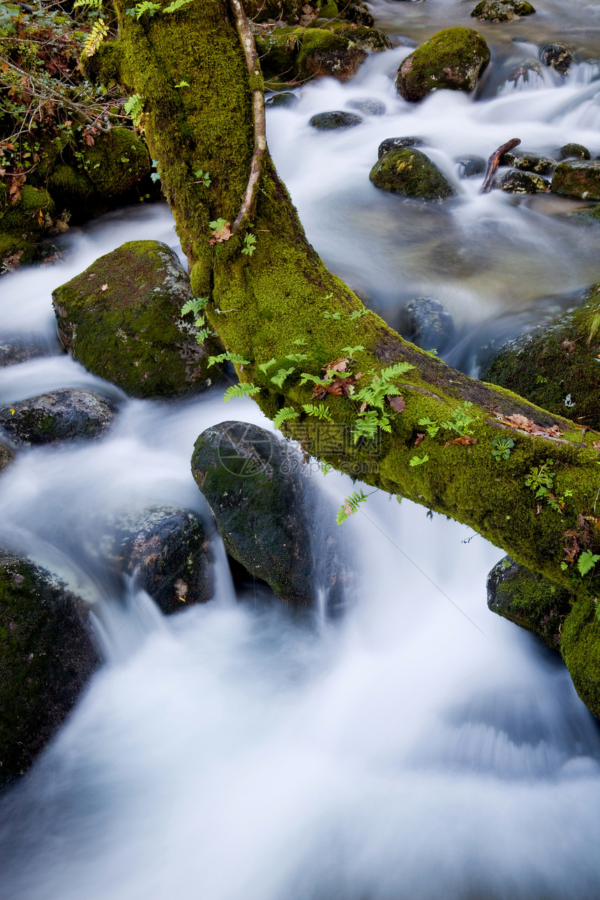 水瀑流动岩石荒野丝绸生活植被石头森林跑步叶子图片