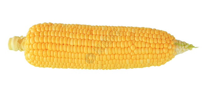 新鲜玉米鳕白色棒子食物玉米农业蔬菜黄色背景图片