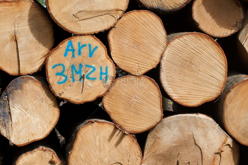 堆积在杜特奇堡垒的木材资源贮存树干材料工业活力柴堆木头木工环境图片