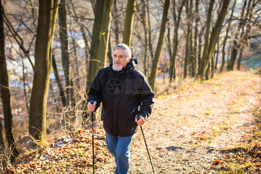 高级男子挪威人步行男性福利娱乐训练男人乐趣锻炼耐力活动退休图片