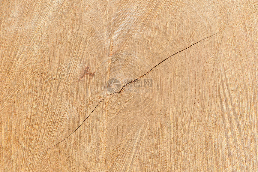闭合木木质戒指日志树干圆圈木材历史木头树木材料年度图片