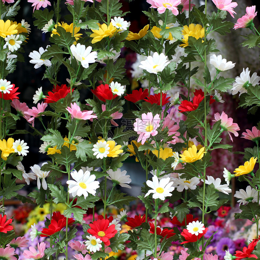 人造花朵快乐虚幻植物叶子植物学农业生活装饰品场地生长图片