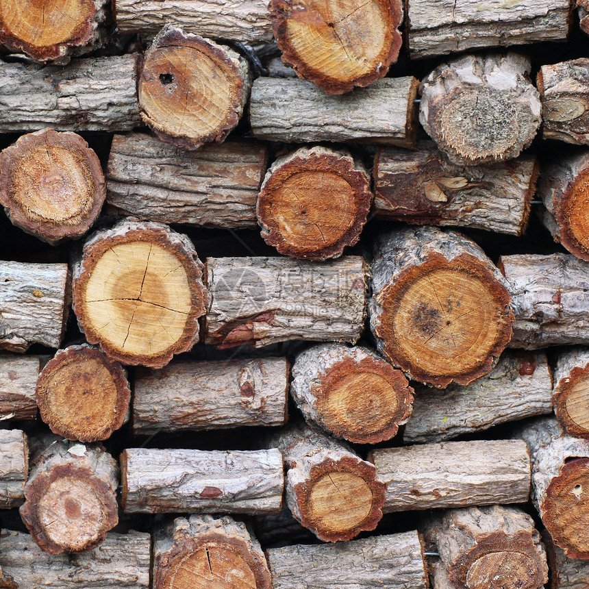 堆压环境腐蚀古董树干植物皮肤崎岖木头树桩棕色图片