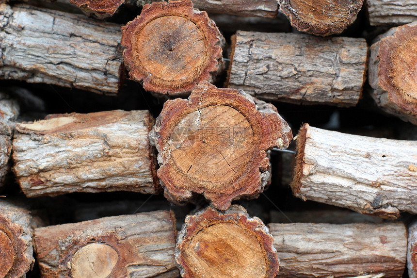 堆压树桩木头木制品腐蚀棕色环境古董皮肤植物框架图片