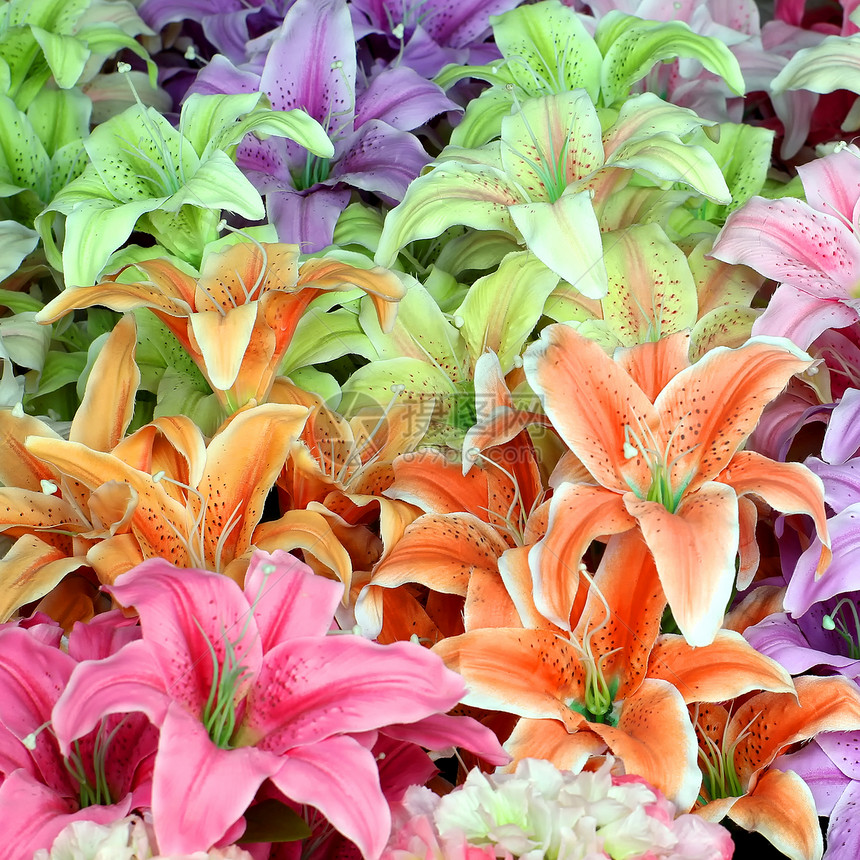 人造花朵花束人造花种植太阳草地公园田园热带生长花瓣图片