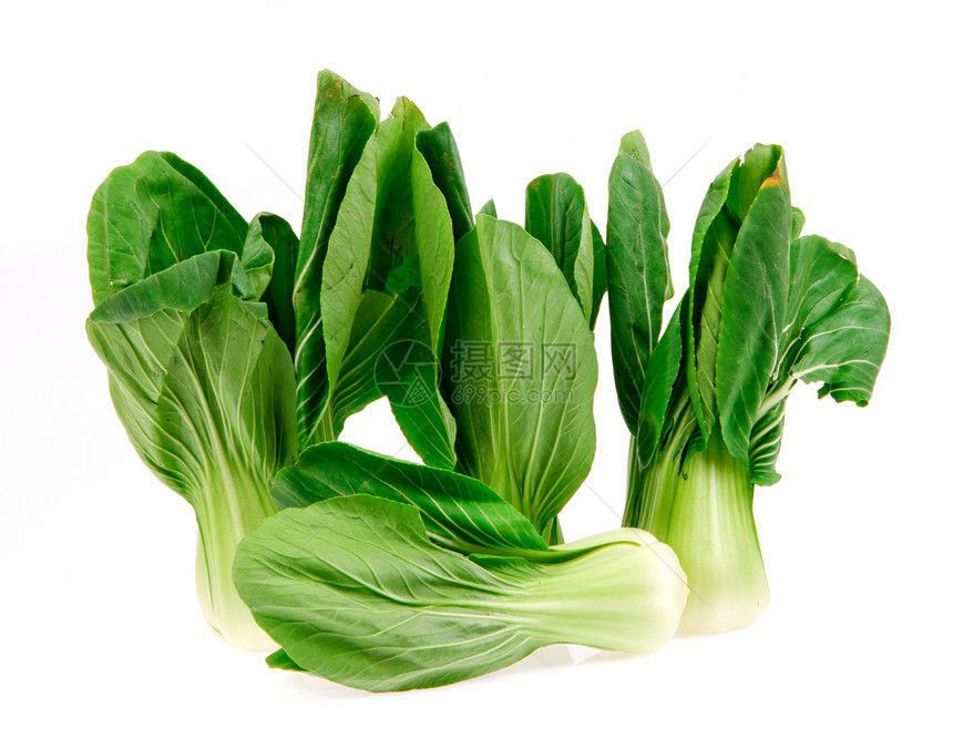 白背景孤立的红卷心菜绿色蔬菜饮食植物营养农业叶子食物图片