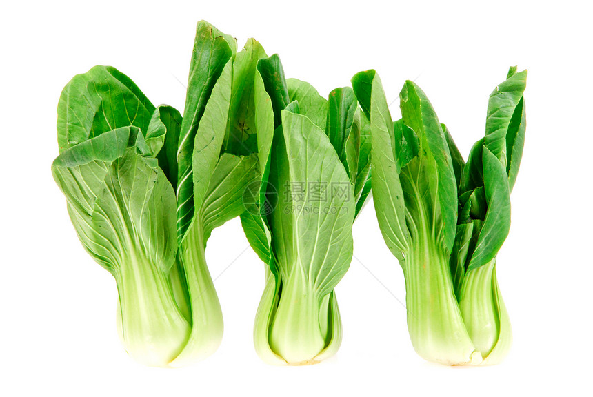白背景孤立的红卷心菜饮食食物叶子营养绿色植物农业蔬菜图片