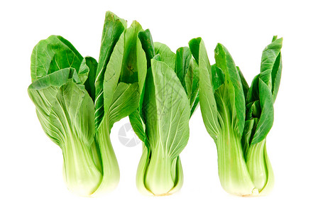 白背景孤立的红卷心菜饮食食物叶子营养绿色植物农业蔬菜背景图片