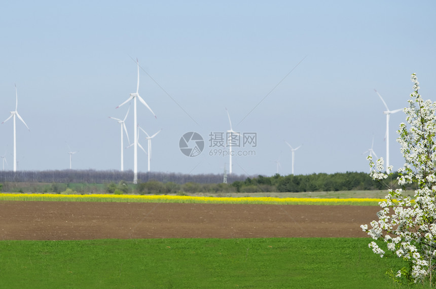 春季风景企业农田乡村农业收成土地生长牧场天空农村图片