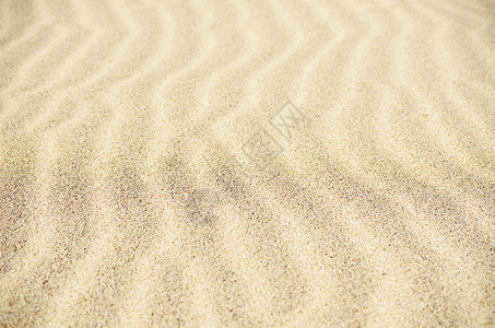 沙沙背景海岸线沙丘海岸背景图片