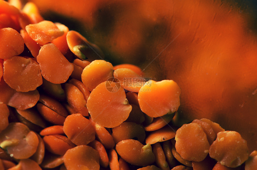 橙扁豆烹饪农业种子黄色扁豆营养饮食红色蔬菜植物图片