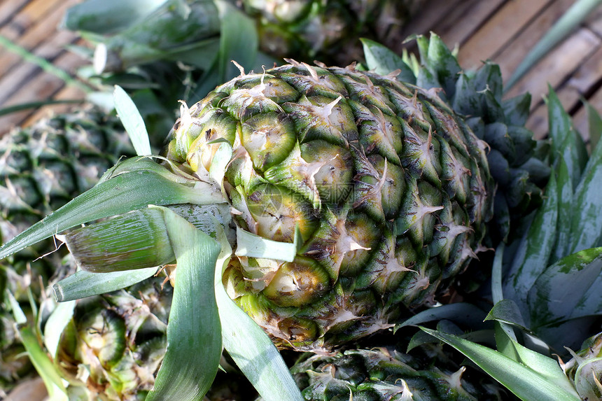 菠萝饮食市场绿色果汁农业肉质营养杂货店水果图片