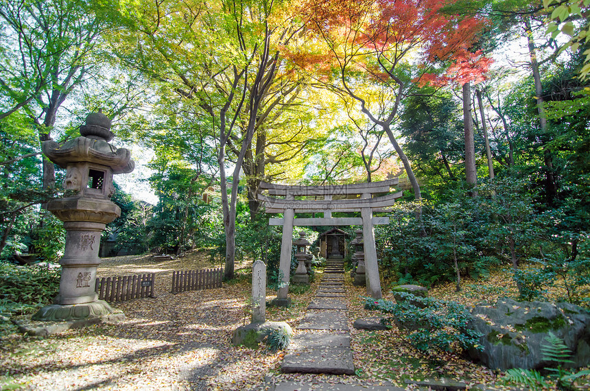 花园中的日本传统寺庙图片