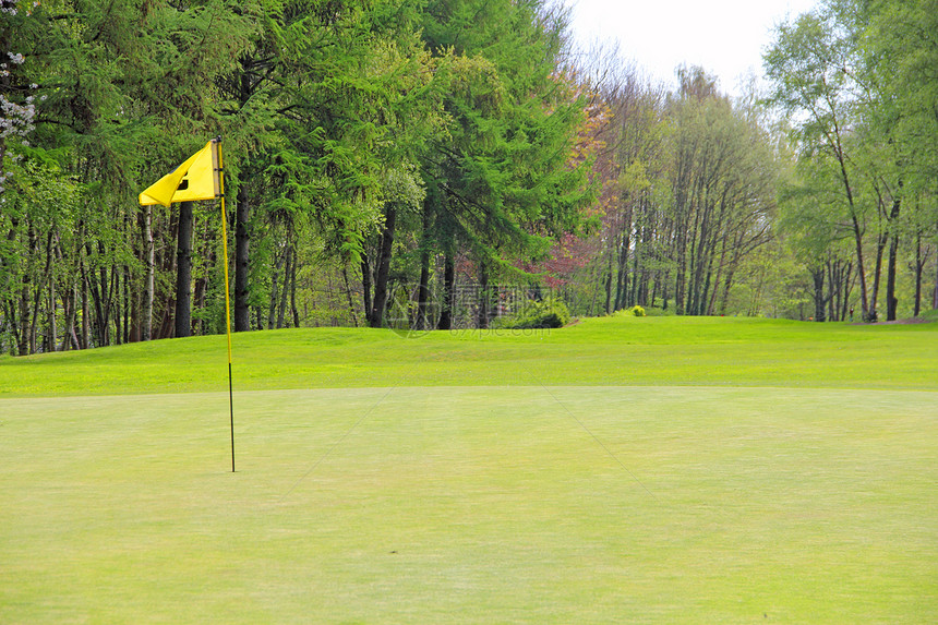 高尔夫球旗在航道上旗帜运动美化草地球道课程闲暇绿色森林游戏图片