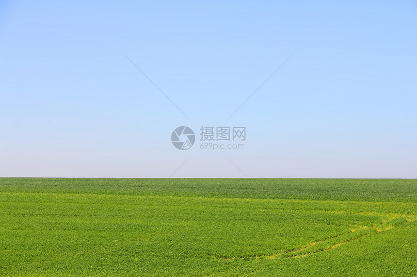 绿地和蓝天空地平线国家农田乡村天空牧场场景远景场地植物图片