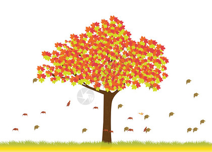 芒砀山秋季的芒树植物叶子树叶金子树干框架插图绘画墙纸橙子插画