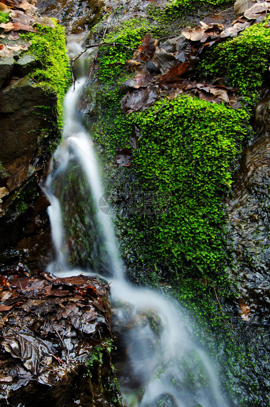 小型瀑水细节环境植物风景苔藓运动假期公园旅行岩石溪流图片