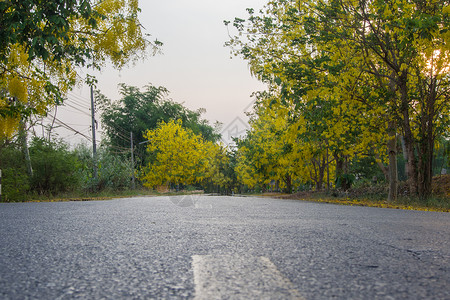 黄花路放松南淡路高清图片