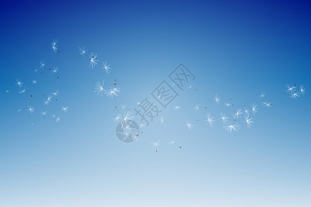 利用数字生成的蓝天花生沙粒种子绘图晴天蓝天阳光计算机背景图片