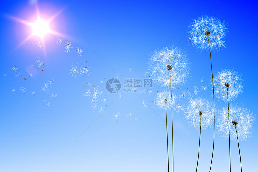 数字生成的蓝天花朵生长绘图种子计算机阳光晴天图片