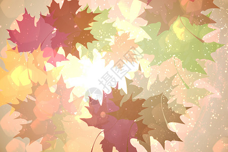 以温暖的音调排列的秋叶图案橙子绿色环境季节计算机红色棕色树叶绘图背景图片