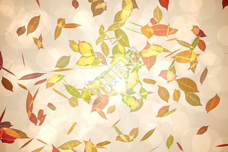 以温暖的音调排列的秋叶图案绘图树叶季节红色环境绿色计算机橙子背景图片