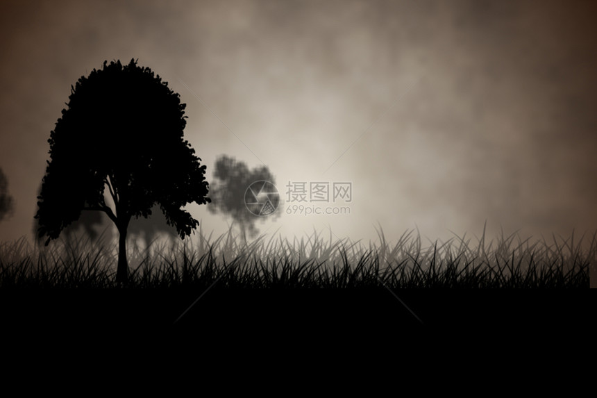 树木的黑暗哥特景色计算机阴影灰色黑色草地绘图图片