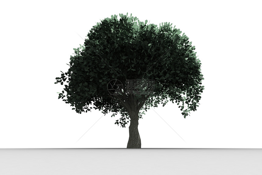 树上长着绿叶生长叶子绿色计算机绿化树干环境绘图图片