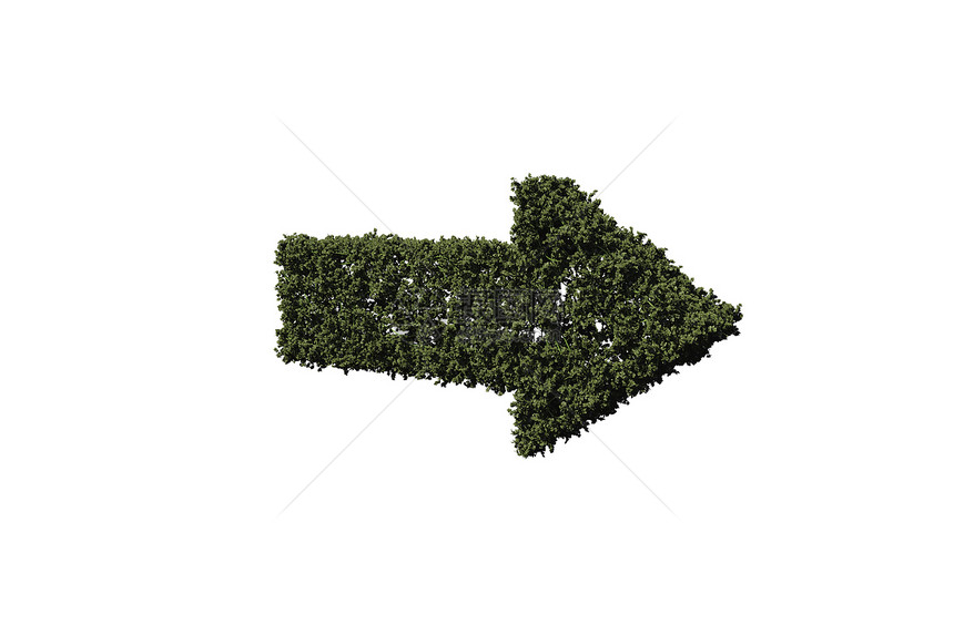 绿箭由叶叶制成绘图树叶绿色灌木叶子计算机绿化衬套环境图片