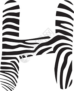 Font zebra 字母H背景图片