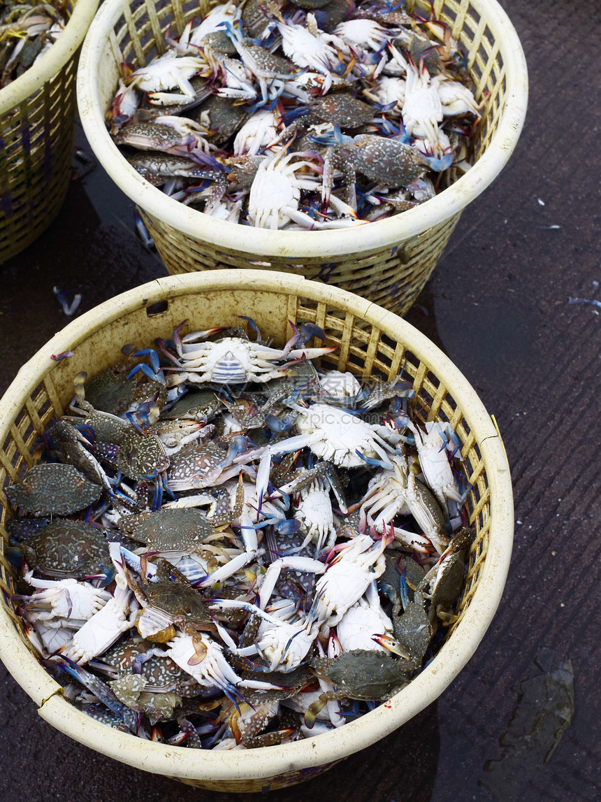 篮子里的螃蟹码头市场海鲜贝壳渔业生活图片