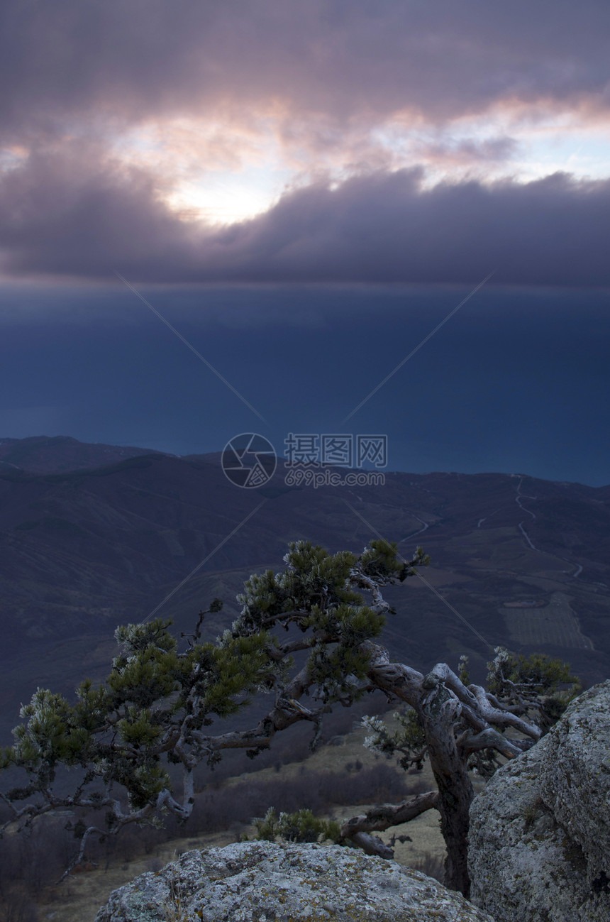 山里的松树背景是克里米亚的Demerdji木头石头场景顶峰风景生长蓝色天空日落森林图片